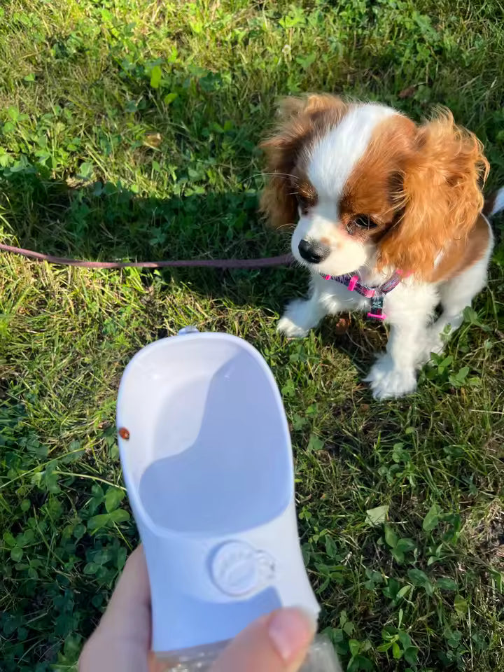 2-in-1 Portable Pet Water Bottle & Food Container